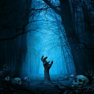 La Nuit des Murmures
