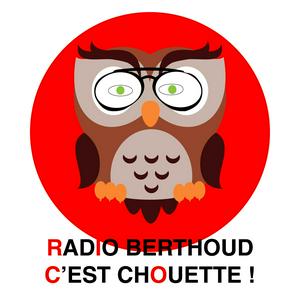 RADIO BERTHOUD 102.6 FM