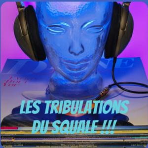Les tribulations du Squale !!!
