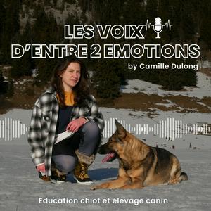 Les voix d'Entre 2 Emotions