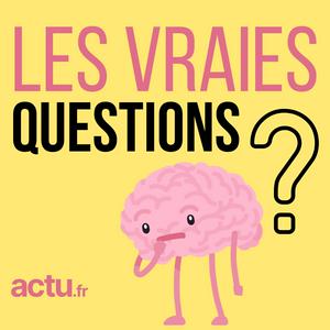 Les vraies questions par actu.fr