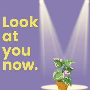 Look at you now.