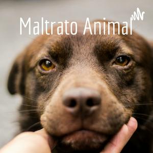 Maltrato Animal