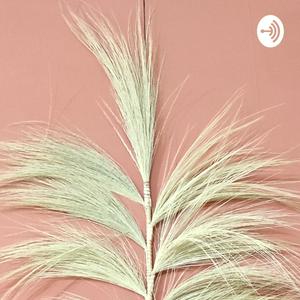 Mr Hmn Podcast