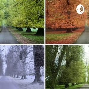 My Opinoin On Seasons