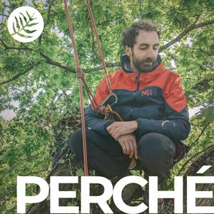 Perché : perspectivisme végétal