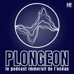 Plongeon