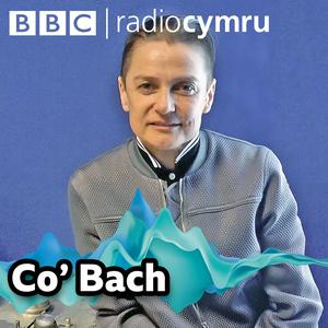 Podlediad Co' Bach