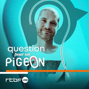 Question pour un pigeon