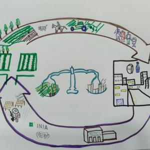 Reflexiones sobre desarrollo rural y estrategias de desarrollo