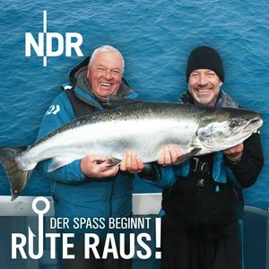 Écoutez Rute raus, der Spaß beginnt – Angeln mit Heinz Galling und Horst Hennings dans l'application