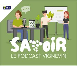 Savoir le podcast Vignevin