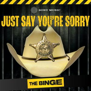 Just Say You're Sorry