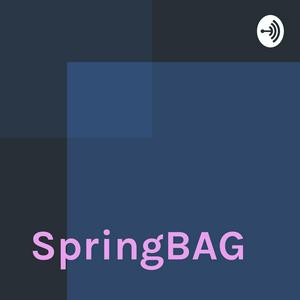 SpringBAG