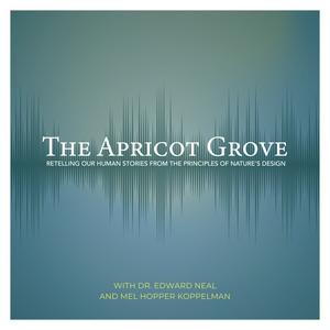 The Apricot Grove