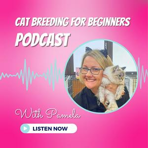 The Cat Breeding For Beginners Podcast