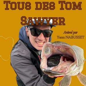 Tous des Tom Sawyer