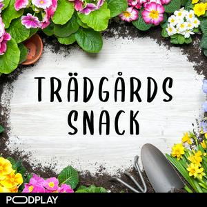 Trädgårdssnack