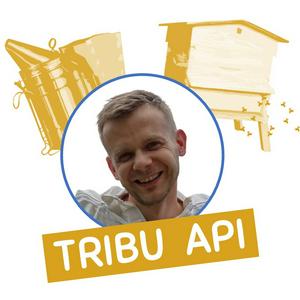 Écoutez Tribu Api par Mes Premières Ruches dans l'application