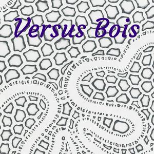 Versus Bois