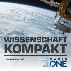 Radio ONE/What's Tech