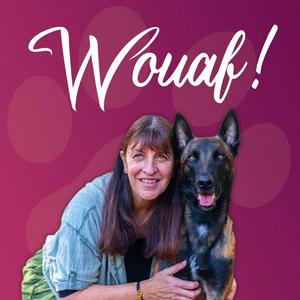 Écoutez Wouaf ! dans l'application